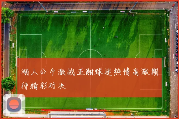 湖人公牛激战正酣球迷热情高涨期待精彩对决