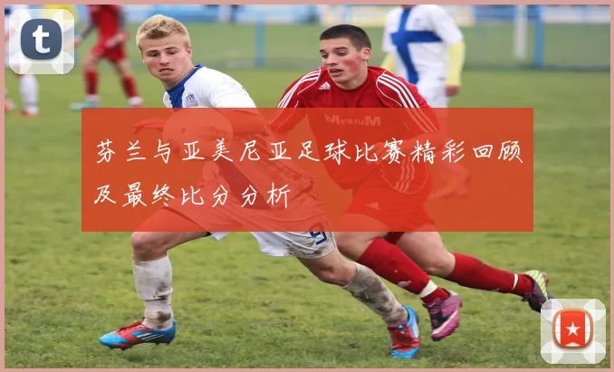 芬兰与亚美尼亚足球比赛精彩回顾及最终比分分析