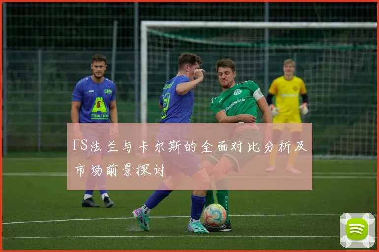 FS法兰与卡尔斯的全面对比分析及市场前景探讨